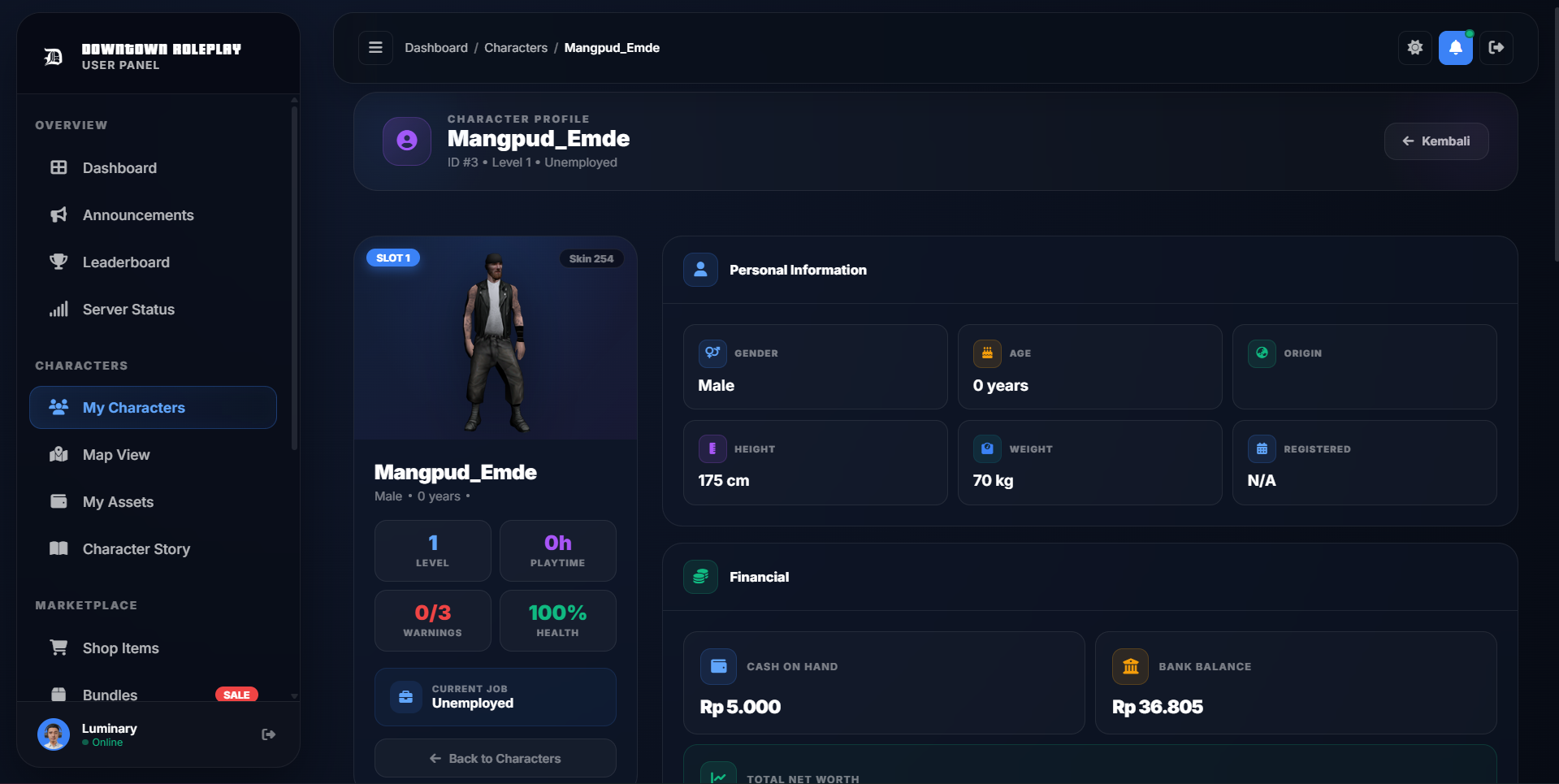 Downtown Roleplay User Control Panel (UCP)